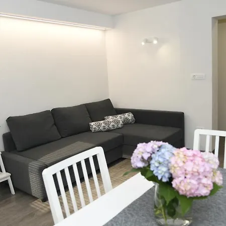 Apartma Pri Lipi ボーヒニ