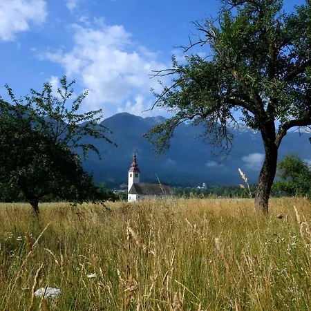Apartma Pri Lipi