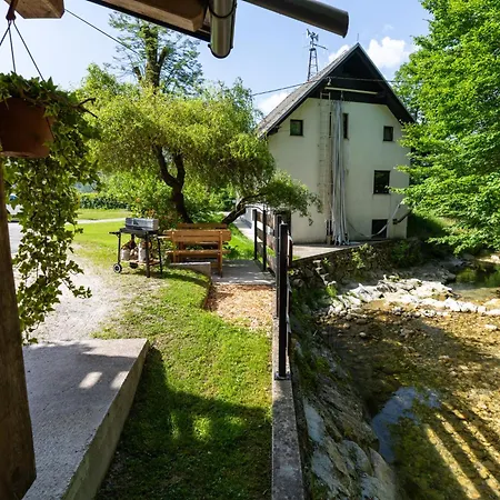 Apartma Pri Lipi Apartment *