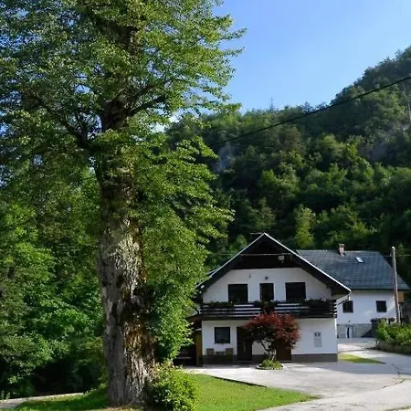 Apartma Pri Lipi Apartment Bohinj