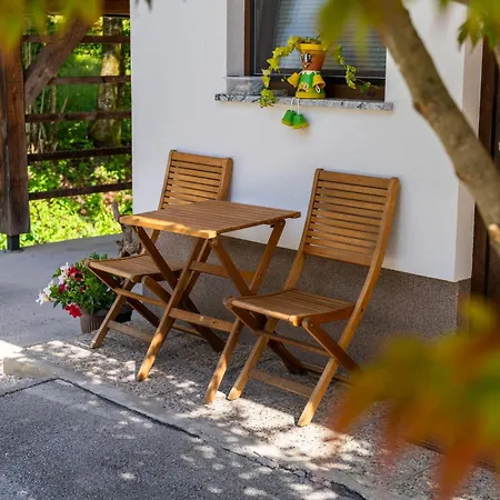 Apartma Pri Lipi דירה