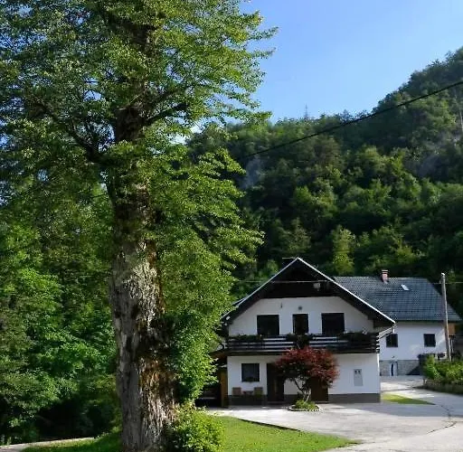 Apartma Pri Lipi Daire Bohinj