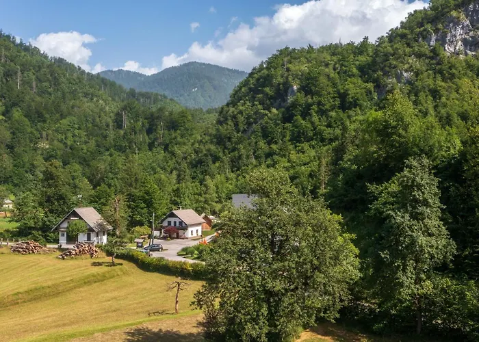 Daire Apartma Pri Lipi Bohinj